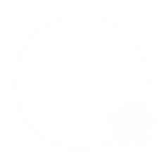 Salt ソルト